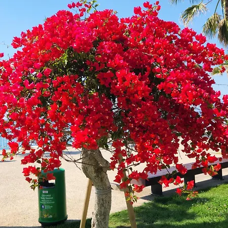 Kuk * Antalya